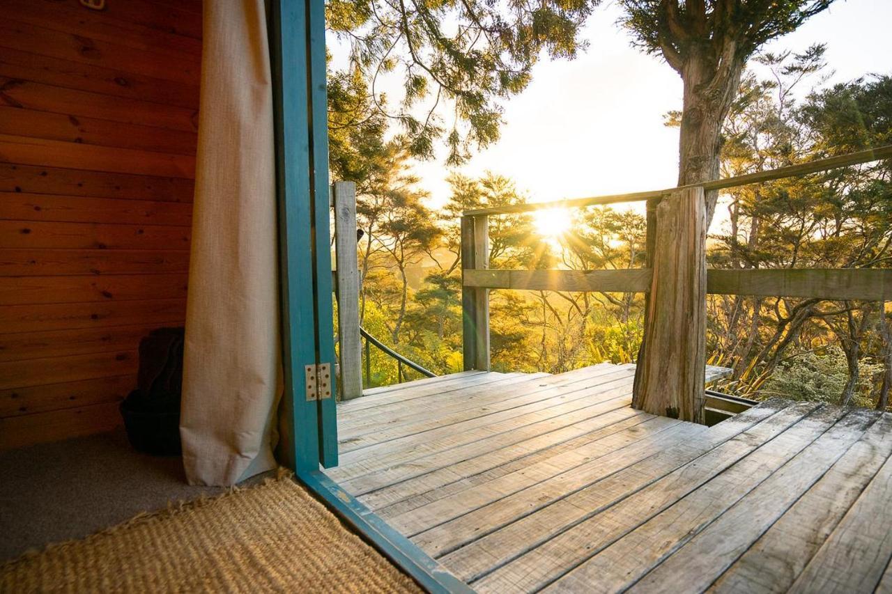 Tui Ridge Eco Cabins Aongatete Exterior foto